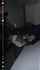 jav japanese office