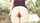 dildo ass teen