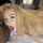 camgirl amateur onlyfans