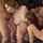 jav japanese asian