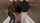 bbc interracial blowjob