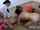 foursome creampie yoga