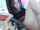 camgirl pussy beauty