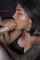 brunette facial blowjob
