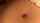 navel lick belly button jav