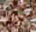 mandingo brunette blonde