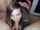 amateur cam teen