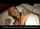 pornstar pretty brunette