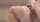 jav japan japanese