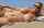 blonde beach milf
