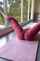 yoga solo phat