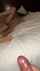 cuckold swingers hotwife