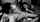 blowjob suck black and white