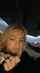 german facial amateur