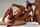 asian asian girl threesome