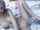 camgirl pretty blonde
