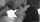 amateur kissing neck kissing
