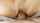 missionary pussy fucked