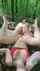 amateur blonde threesome