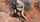 queen of hell gibby the clown desert mummy