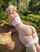 big ass blonde pretty nice ass