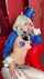 asian cosplay thigh high