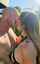 pornstar model adult