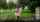 facesitting garden gardener