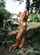 nude pretty nsfw