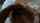 bbc interracial blowjob
