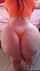 big ass big butt orange thong