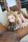 blonde dogfart spitroast