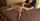 blonde milf fuck