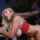 blonde brazzers interracial