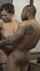 milf frontal sex brunette