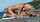 beach blowjob blonde busty