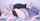 camgirl amateur webcam