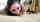 blowjob amateur lovehomeporn