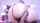 camgirl dildo goth