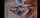 brown haired teen bid dick