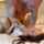johnny sins onlyfans amateurs
