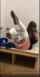 amateur dressing room masturbation