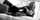 black and white blonde oral sex