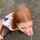 redhead kink golden shower