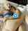 blonde milf sex on bed