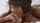blowjob pretty ebony
