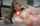 bbc homemade xxx