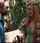 roleplay fantasy amateur