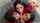 effy lilith doll aradiahell