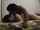 interracial bbc japanese